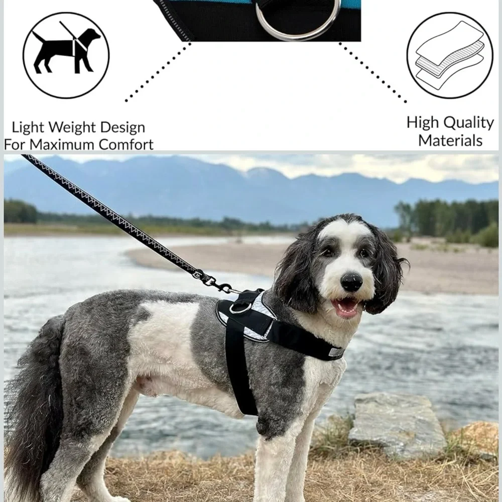 Shawn and co Black and Tan Dog Harness. A - Picture 4 of 8